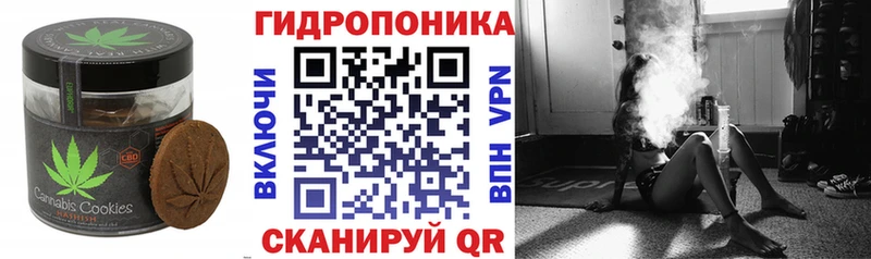 закладки  KRAKEN рабочий сайт  Cannafood конопля  Кашин 