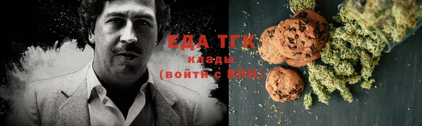 тгк Абаза