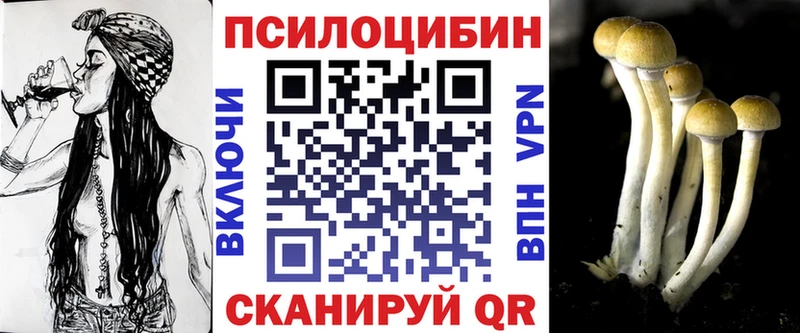 Псилоцибиновые грибы Psilocybe Кашин